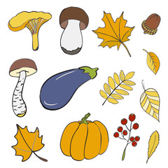 Set of hand drawn doodle elements about autumn. Mushrooms, leaves, pumpkin, eggplant, acorn. vector drawing