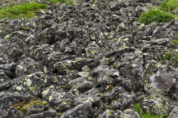 field of rock boulders (called stone run or stone river) is one of the typical landscapes of the highlands