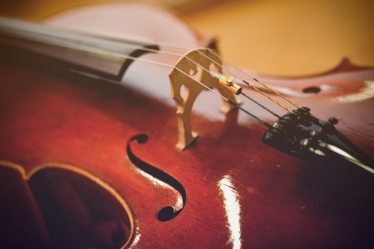 Violoncello