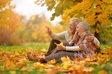 happy Senior couple in autumn park sitting  - Powered by Adobe