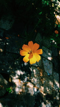 Processed with VSCO with c1 preset