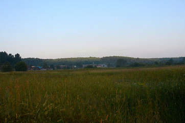 Fototapeta premium beautiful field landscape
