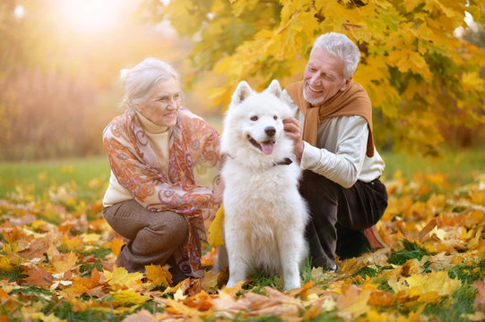 portrait of beautiful caucasian senior couple with dog 