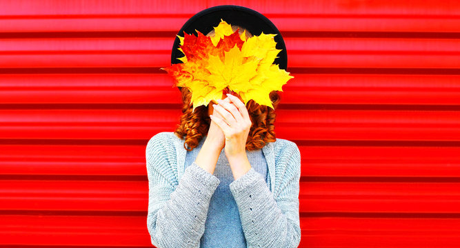 Stylish autumn portrait woman hides her face yellow maple leaves on a red background