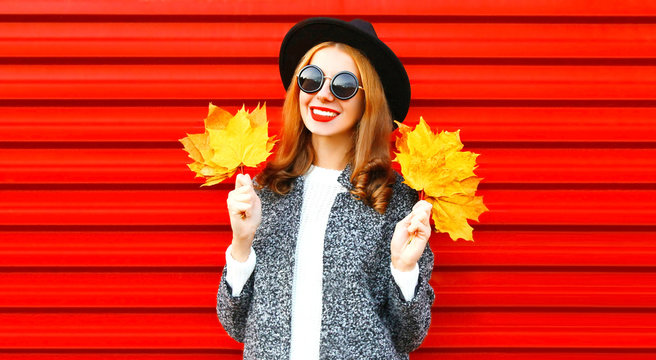 Stylish happy autumn smiling woman holds yellow maple leaves on a red background