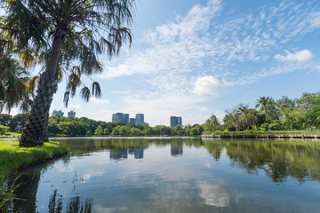 Public park in the big city.  Place and outdoors concept. Nature and landscape theme. Bangkok Thailand location.