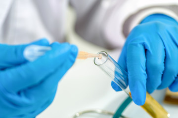Herbal medicine cannabis in lab.