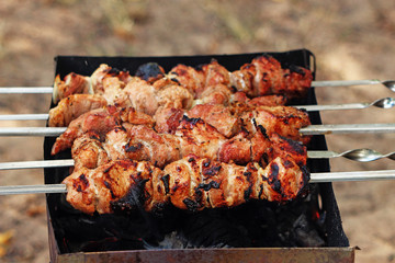 fried on skewers shish kebab on grill