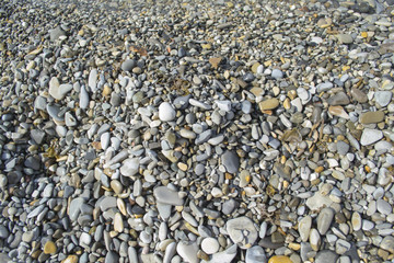 Sea beach stones and pebbles. Sea shore background.