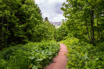 Fototapeta na wymiar one of the trails of the Caucasus Mountains