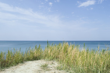 Fototapeta na wymiar View of the distant sea over dry grass.