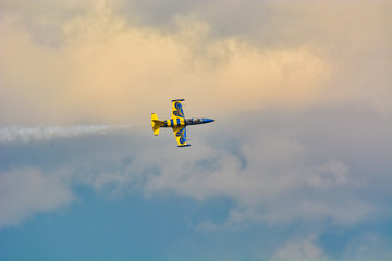Ducks feeding with bread in the city park