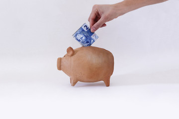 Putting Brazilian money in pig coin isolated on white background