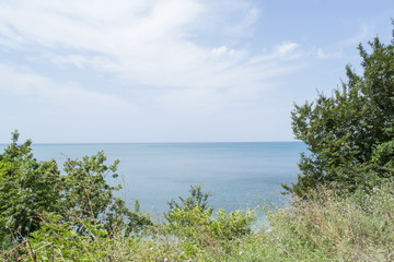 View of the distant sea over tree branches.