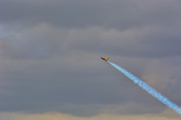 Ducks feeding with bread in the city park