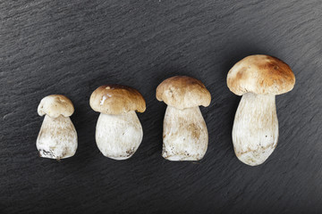 mushrooms on a black background