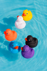 Six colourful rubber ducks, a family of ducks, yellow, blue, purple, black, white and orange, swimming in the water in a paddling pool