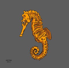 sea horse in the ocean. vector illustration