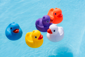 Five colourful rubber ducks, a family of ducks, yellow, blue, purple and orange, swimming in the water in a paddling pool