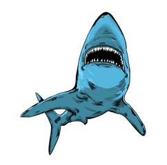 Shark in circle. abstract drawing. vector illustration.