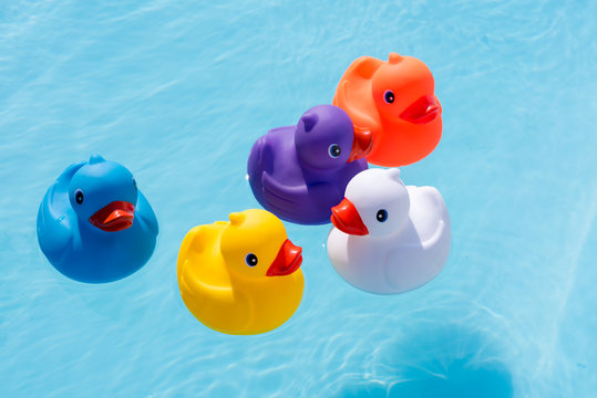 Five colourful rubber ducks, a family of ducks, yellow, blue, purple and orange, swimming in the water in a paddling pool