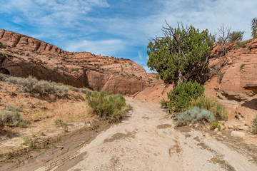 Hiking Trail Utah Slot Canyons