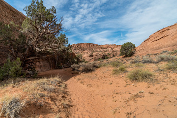 Hiking Trail Utah Slot Canyons