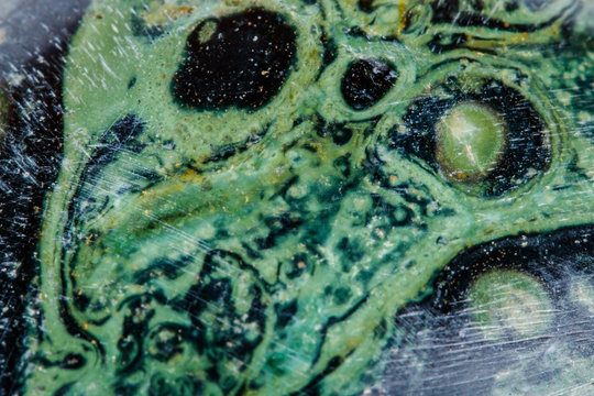 Macro mineral stone jasper kambaba on a white background