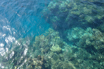 Fototapeta na wymiar Water surface above coral