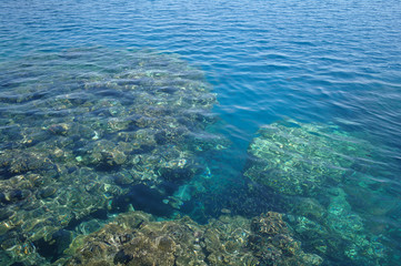 Fototapeta na wymiar Water surface above coral