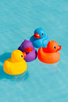 Four colourful rubber ducks, a family of ducks, yellow, blue, purple and orange, swimming in the water in a paddling pool
