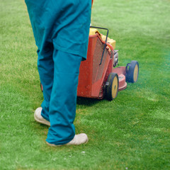 Lawn mower cutting green grass in backyard.Gardening background.