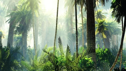 Foto op Canvas Tropische jungle in de mist. Palmen in de ochtend. © ustas