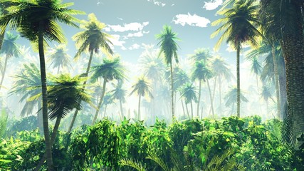Obraz premium Tropikalna dżungla we mgle. Palmy rano.