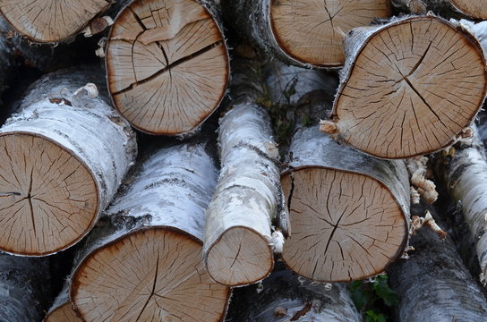 Pniaki Images Browse 58 Stock Photos, Vectors, and Video Adobe Stock