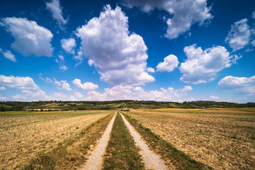 Landwirtschaftliche Landschaft mit Quellwolken