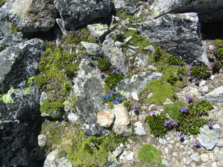 Hiking through glaciers in the austrian alps