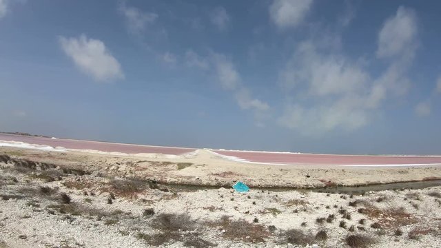 Salt mining on Bonaire