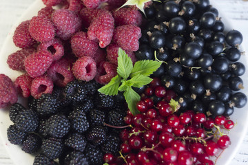 Red and black currants and raspberries and mint, useful ripe berries on a plate, wooden white background