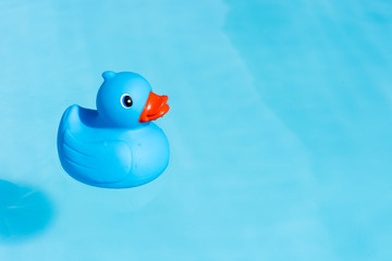 A single blue rubber duck floats in a paddling pool