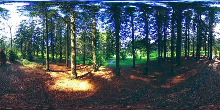 UHD 4K 360 VR Virtual Reality of a city park recreation area. Trees and green grass at autumn or summer day. Path and sun rays. Original sound.