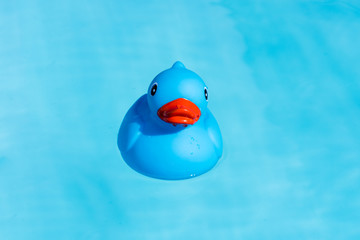 A single blue rubber duck floats in a paddling pool