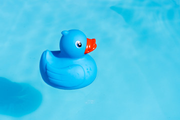 A single blue rubber duck floats in a paddling pool