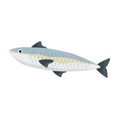 Obraz na płótnie Canvas fresh salmon fish food