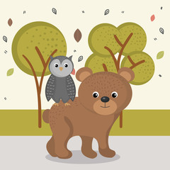 cute bear and owl animal characters
