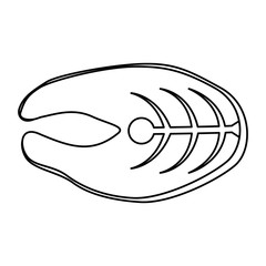 fresh salmon steak fish