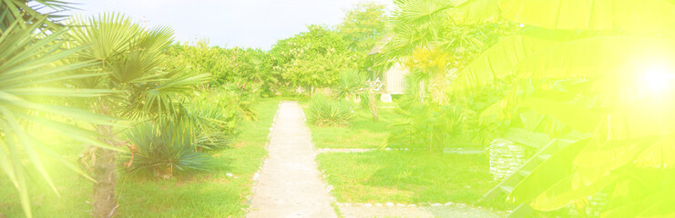 Banner Summer background Tropical Resort hotel Bright sunny colors Vintage Retro toning