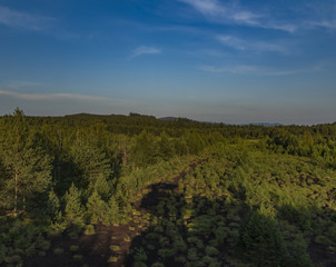 Fototapeta na wymiar Peat bog near Soumarsky Most village