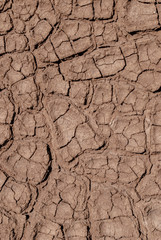 Desert Pan Textures 