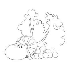 fresh lettuce with lemon and grapes healthy food